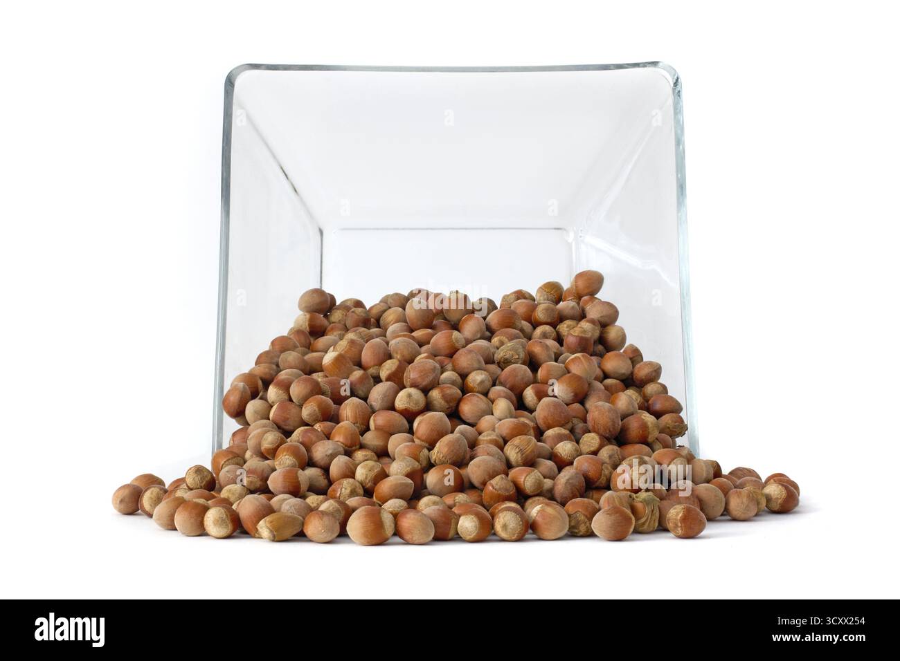Nocciole intere che mostrano la loro naturale consistenza e il ricco colore marrone, perfette per i concetti di cibo e salute. Foto Stock