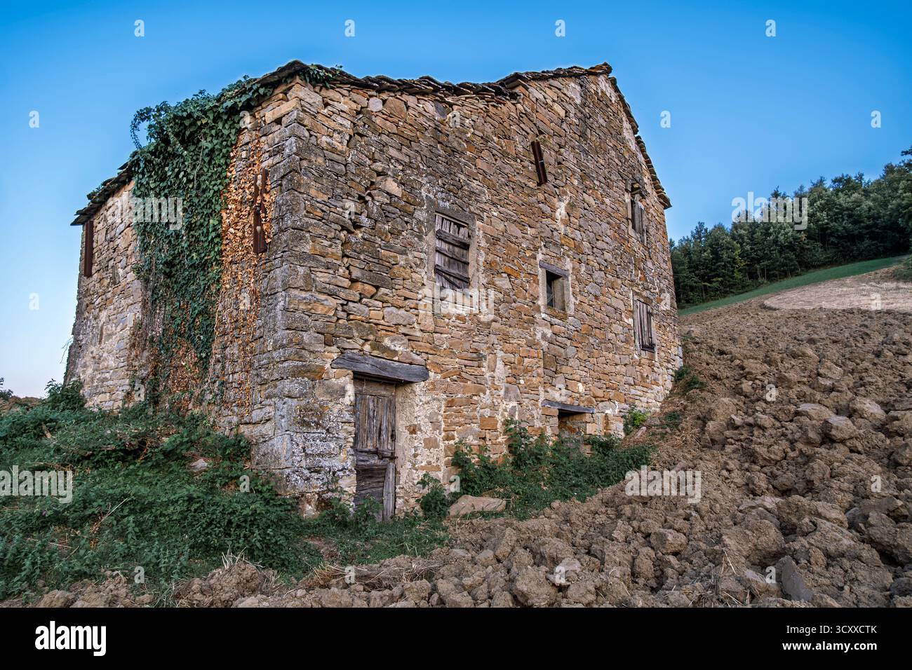 Vecchio rifugio per animali e attrezzi agricoli che cerca di resistere al passare del tempo. Stiolo, comune di Monghidoro, città mtropolitana di Bolog Foto Stock