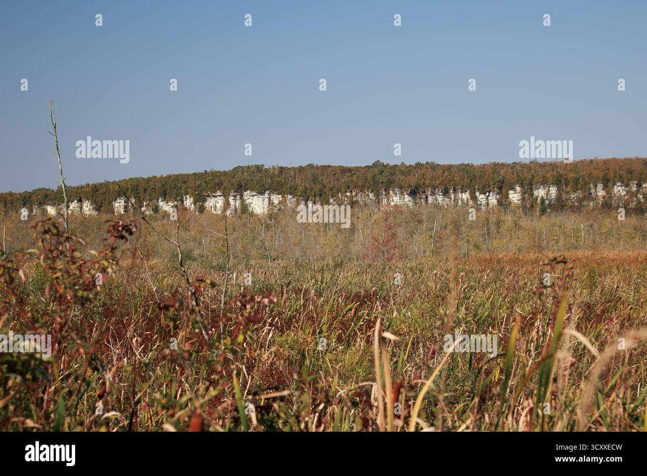 Paesaggio delle paludi autunnali con Golden Foliage e Rocky Escarpment Cliff Foto Stock