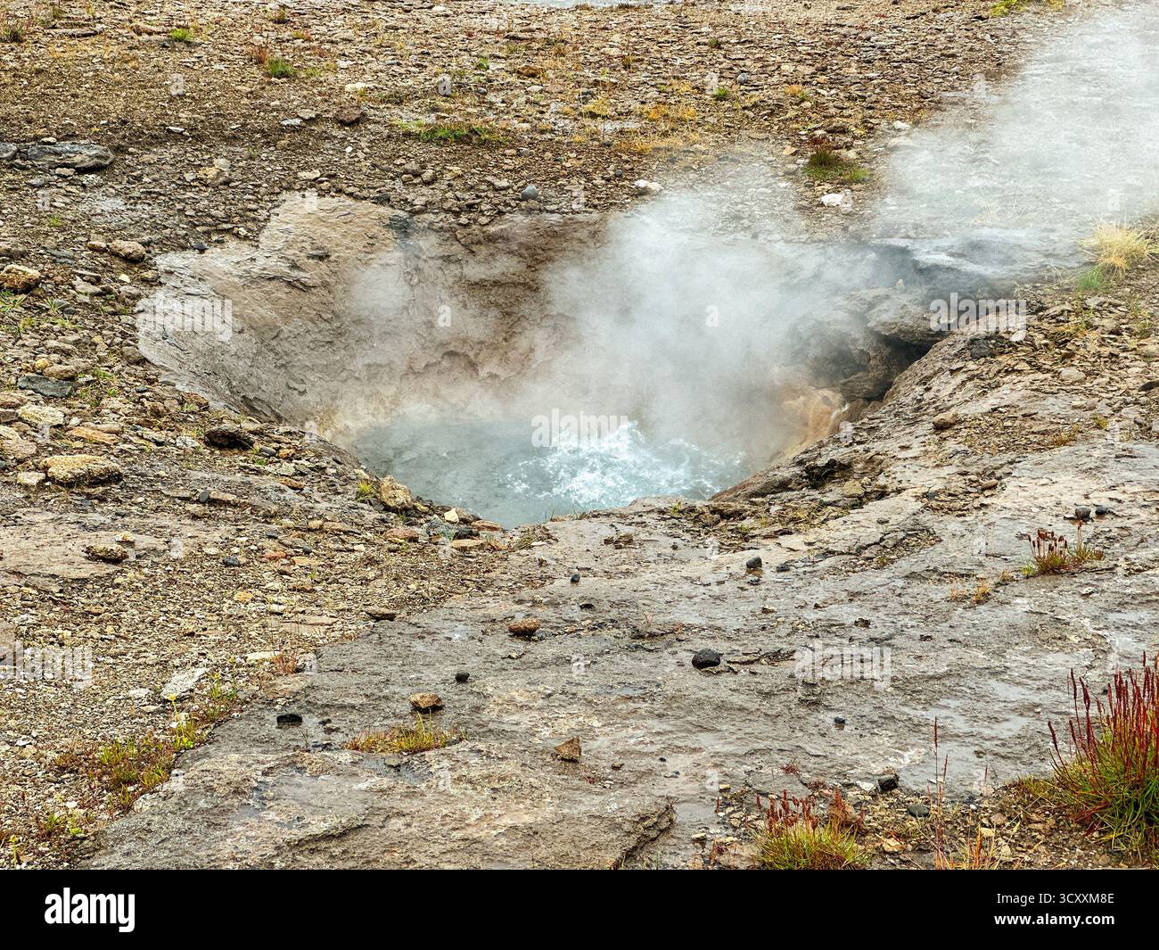Bollente acqua bollente con vapore proveniente da un piccolo geyser in Islanda - Immagine stock catturata con smartphone
