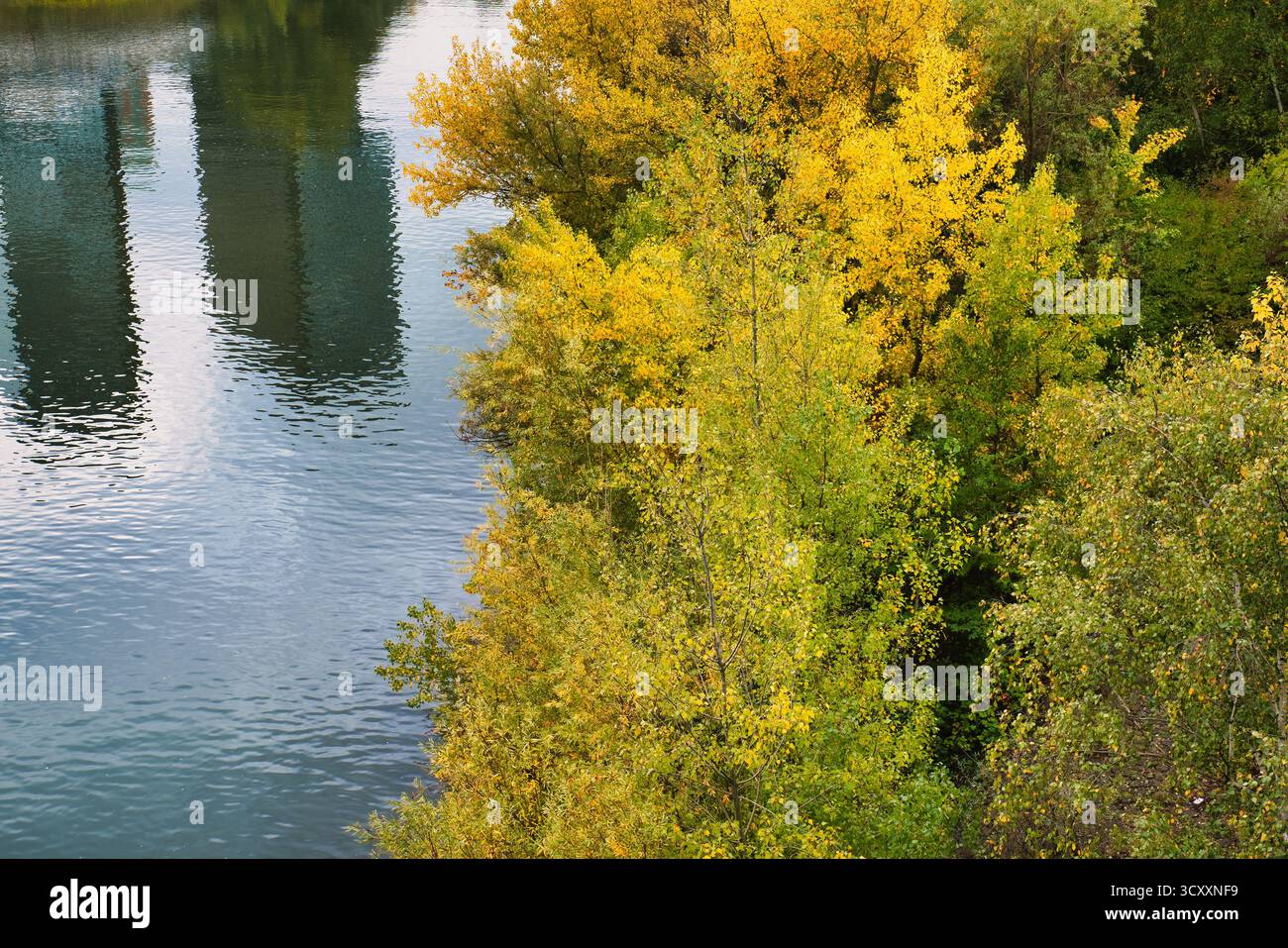 Fogliame d'autunno dorato che si riflette nella calma acqua del fiume Reno con lussureggianti alberi verdi sotto il cielo parzialmente nuvoloso a Düsseldorf Germania Foto Stock