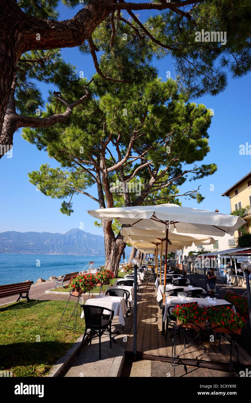 Torri del Benaco, Italia Foto Stock