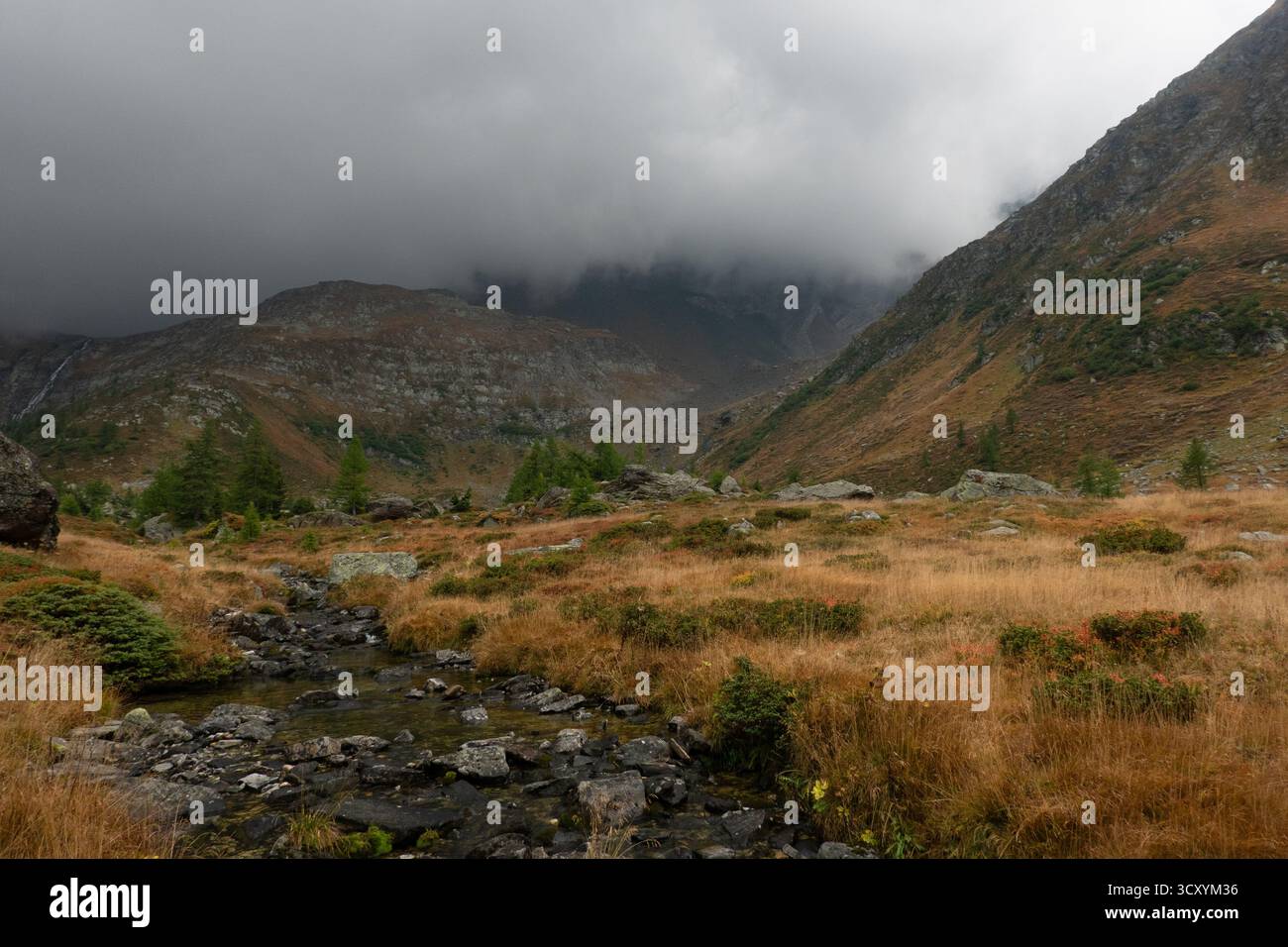 Paesaggio montano in autunno, colori autunnali, in primo piano un ruscello di montagna, vette ricoperte di nuvole Foto Stock