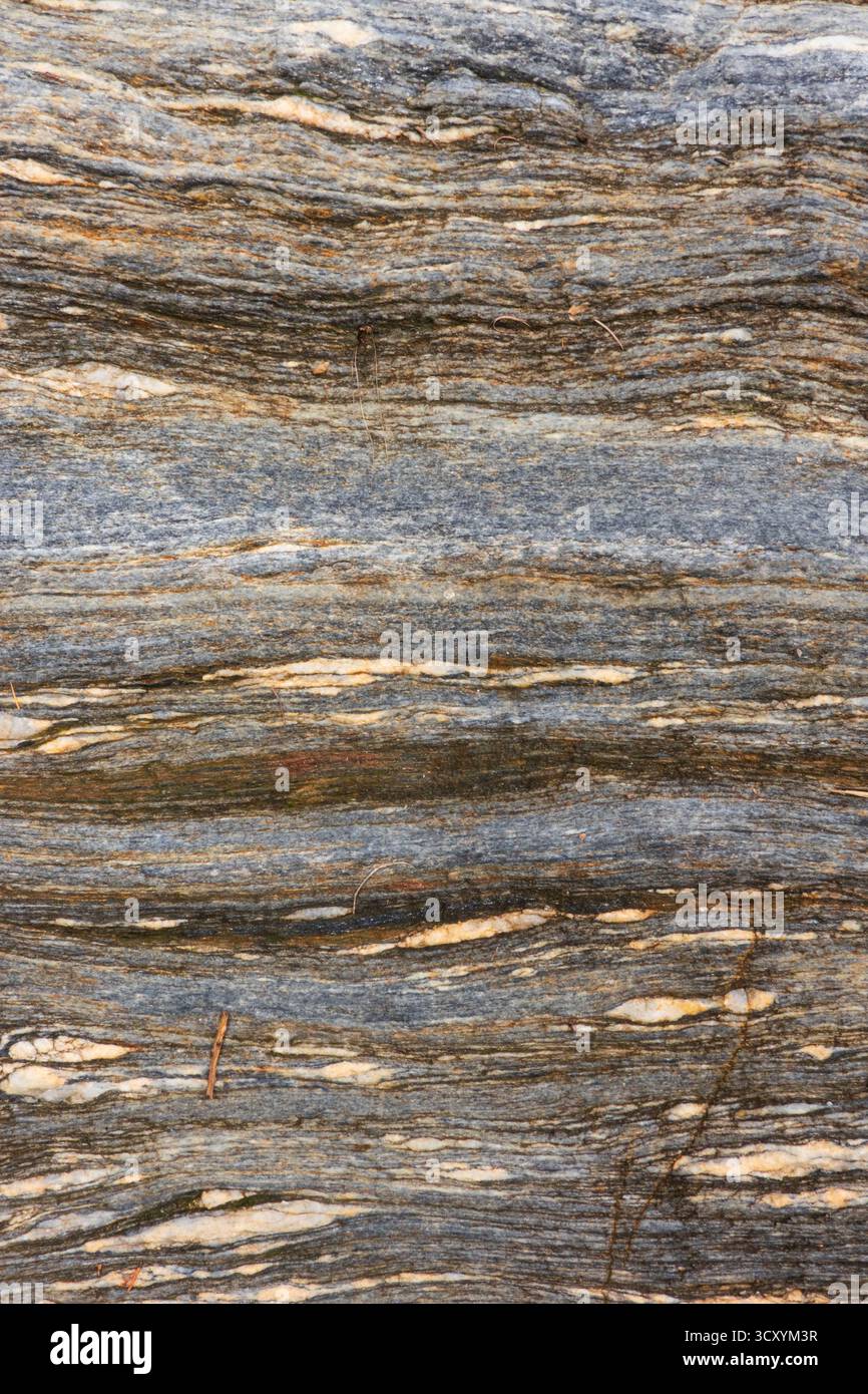 Primo piano della superficie rocciosa, bande gneissic, alternanza di minerali mafici e felsici Foto Stock