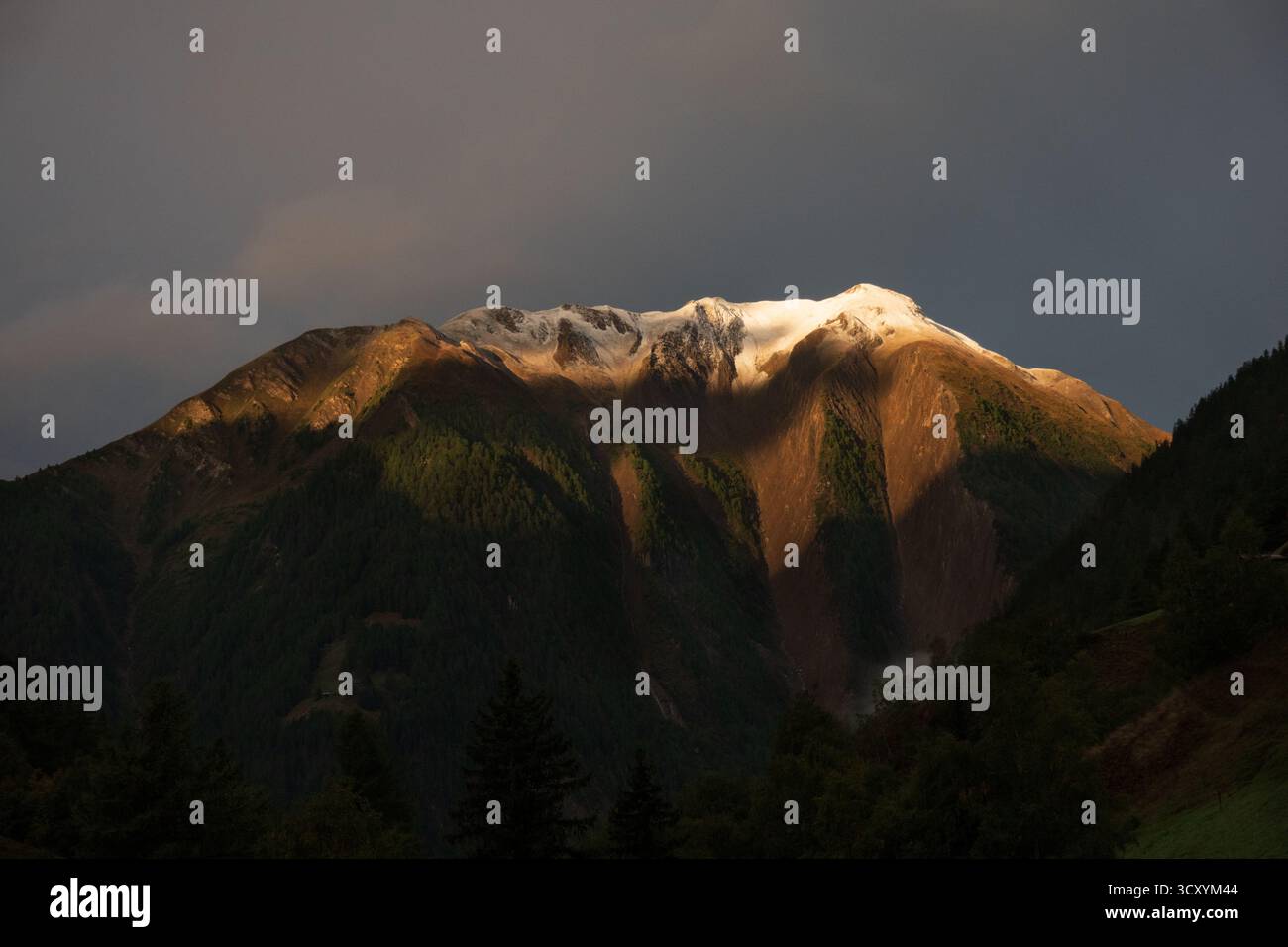 Autunno in montagna, dietro le foreste ombreggiate, le cime montane con neve appena caduta Foto Stock
