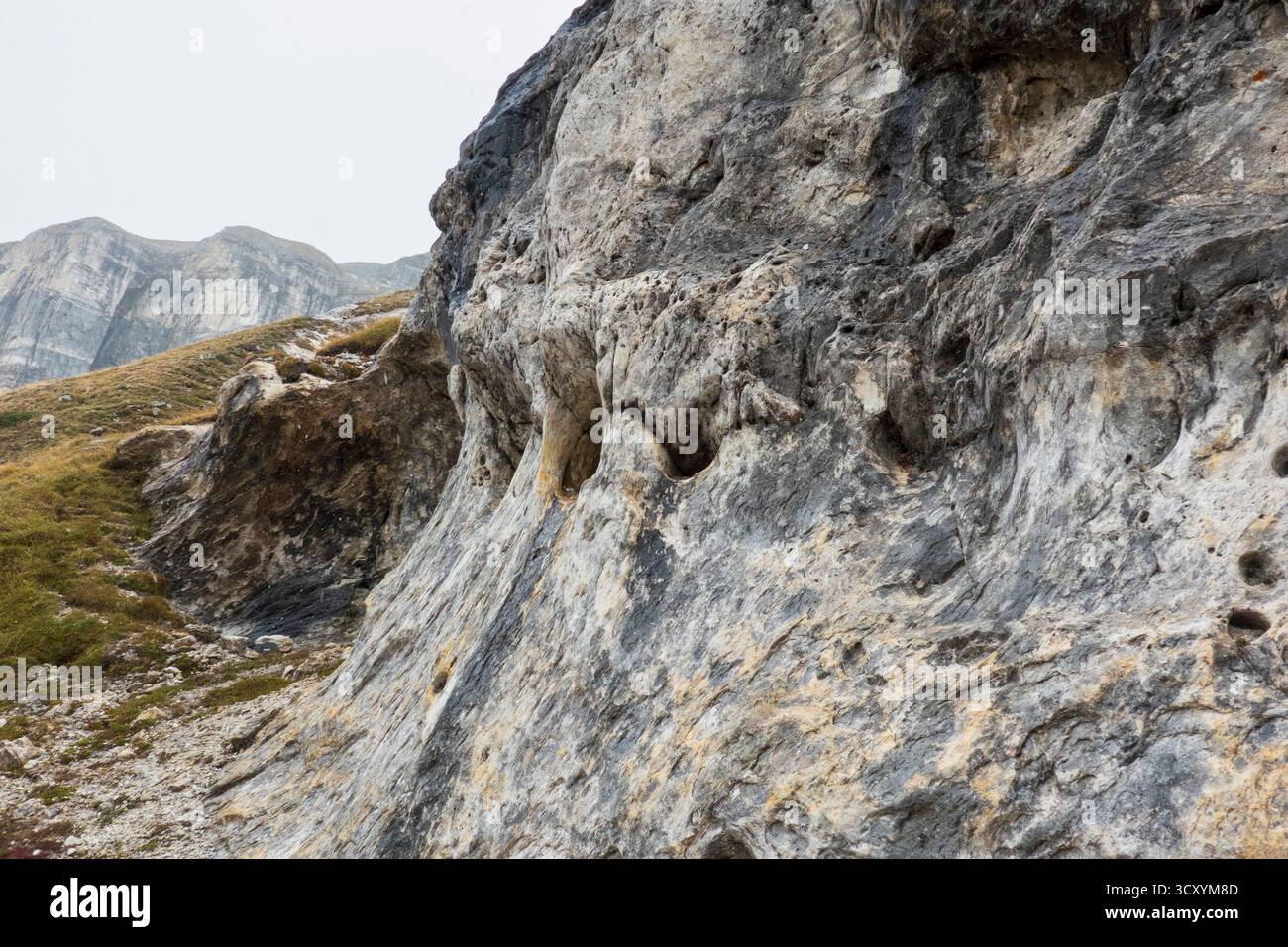 L'erosione è presente nella roccia dolomitica delle alpi svizzere Foto Stock