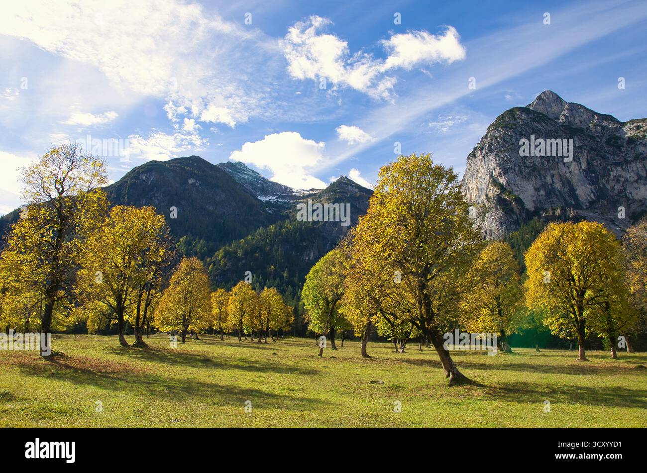 Visita l'Hinterriss con Grosser Ahornboden e il Parco naturale Karwendel in Austria Foto Stock