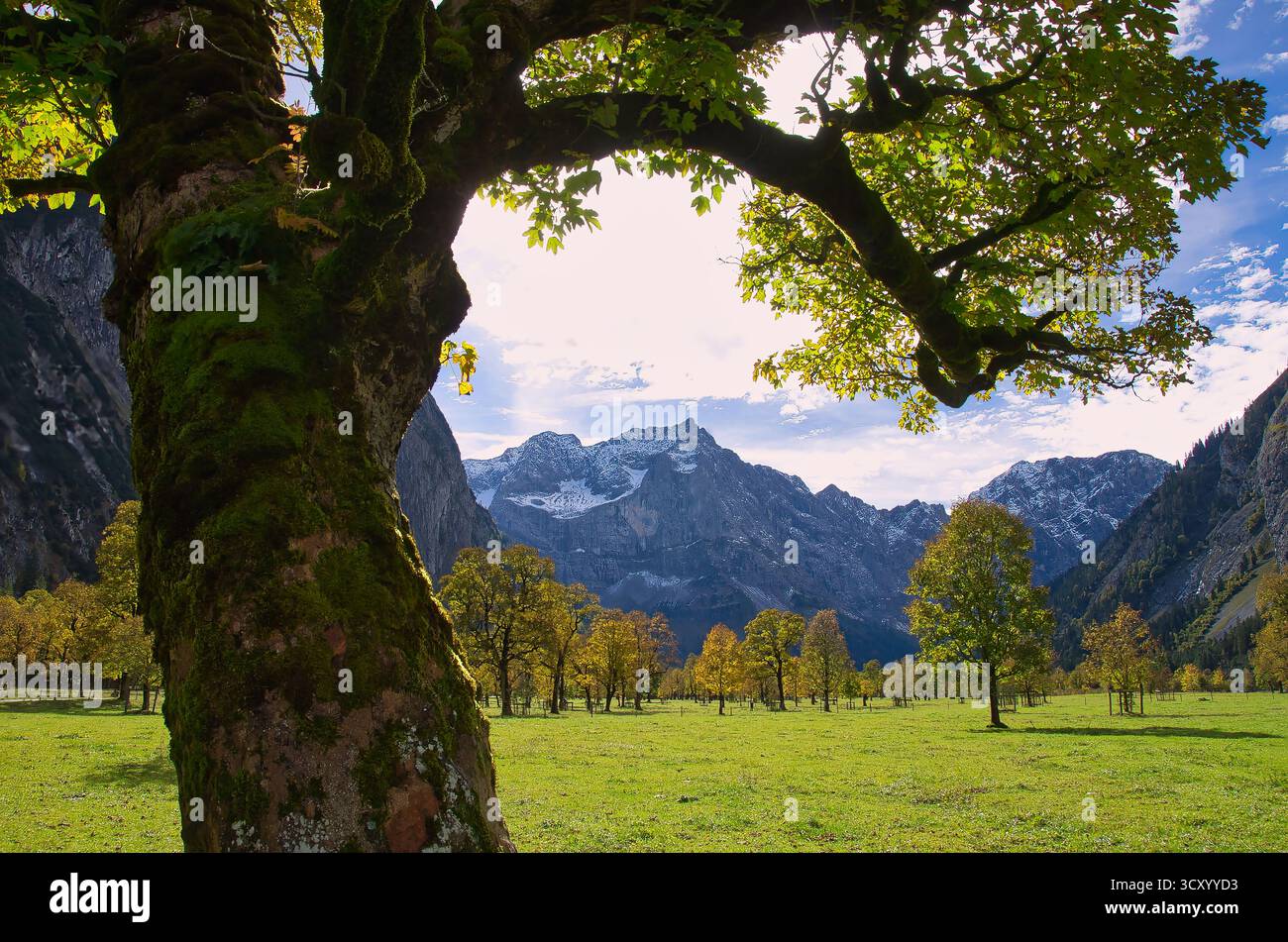 Visita l'Hinterriss con Grosser Ahornboden e il Parco naturale Karwendel in Austria Foto Stock