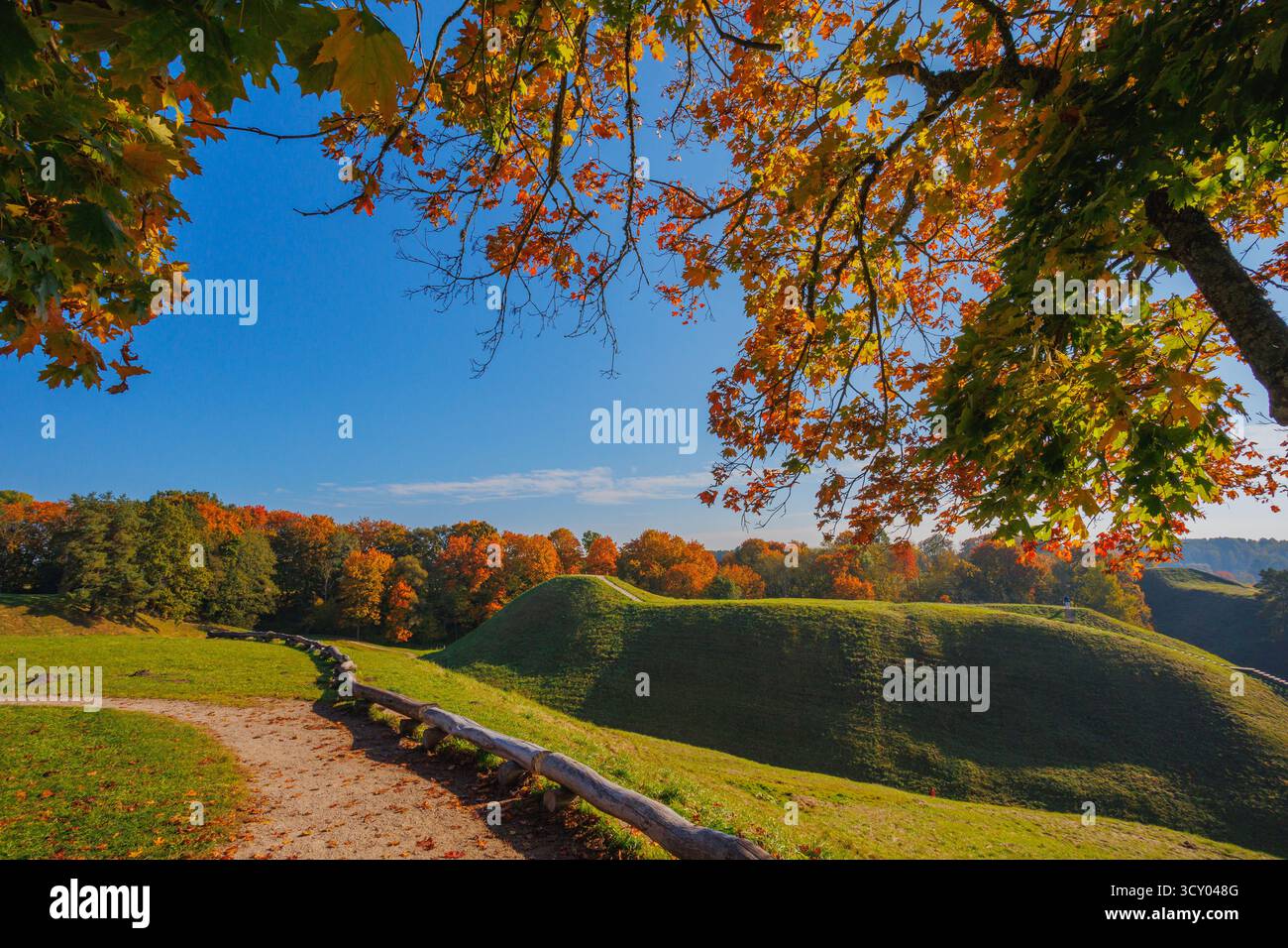 Uno splendido paesaggio autunnale caratterizzato da alberi vibranti, colori brillanti e un cielo azzurro Foto Stock