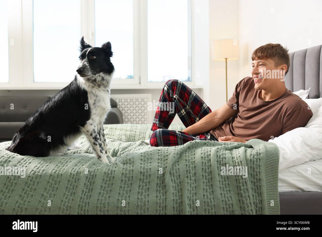 Hotel in cui sono ammessi gli animali domestici. L'uomo e il suo carino cane a letto al chiuso Foto Stock