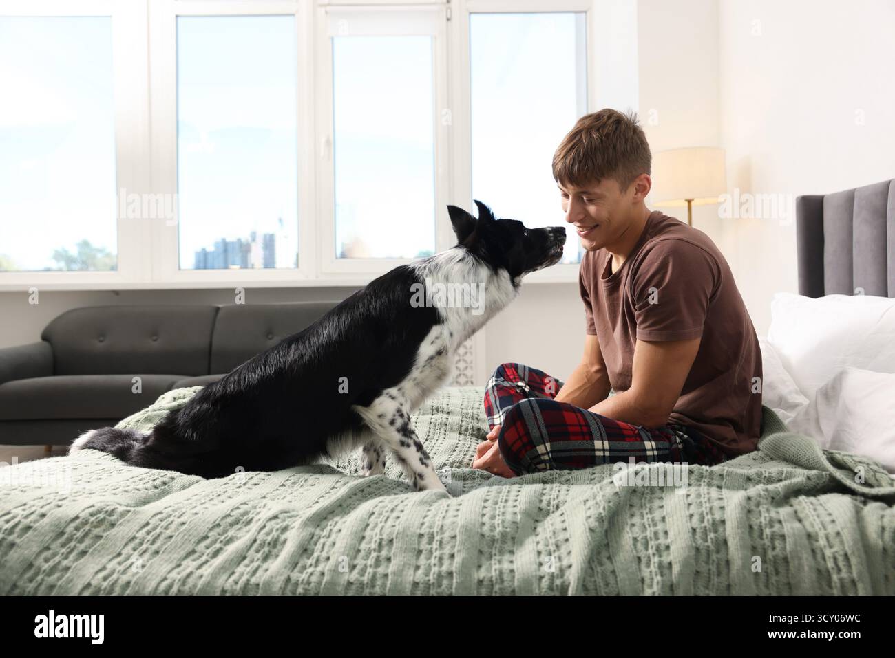 Hotel in cui sono ammessi gli animali domestici. L'uomo e il suo carino cane a letto al chiuso Foto Stock