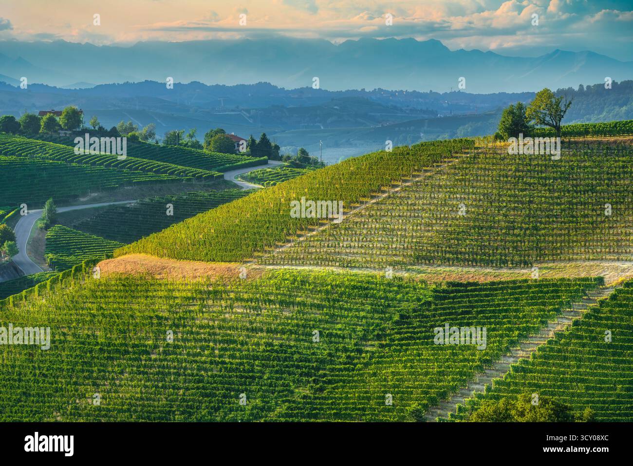 Paesaggio panoramico delle dolci colline delle Langhe e dei vigneti vicino al paese di Neive, Piemonte, Italia settentrionale. Questa regione è famosa per Barbaresc Foto Stock Paesaggio panoramico delle dolci colline delle Langhe e dei vigneti vicino al paese di Neive, Piemonte, Italia settentrionale. Questa regione è famosa per Barbaresc Foto Stock