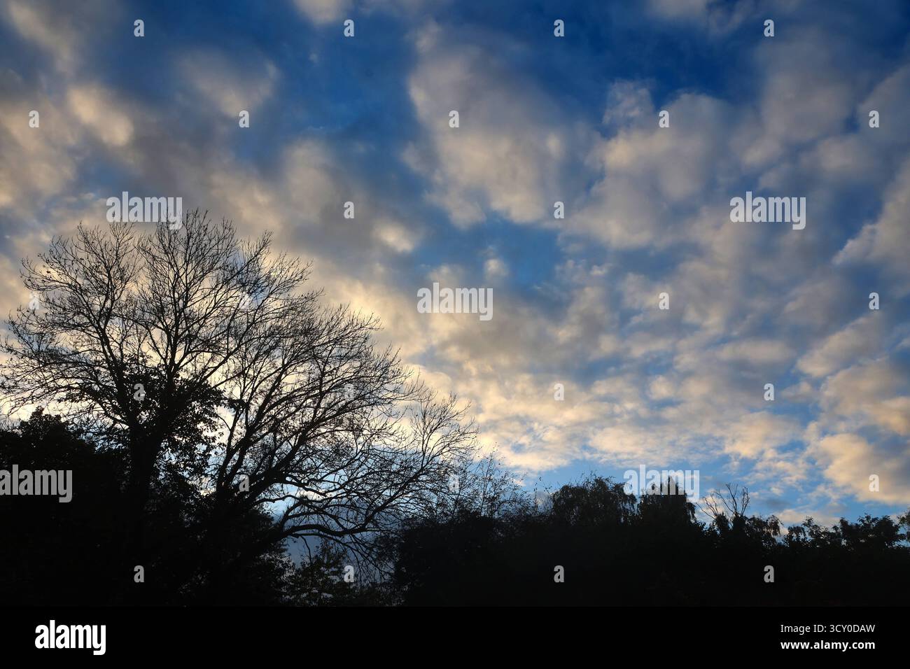 Wetterlagen im Herbst Der Herbsthimmel bei unbeständigem Wetter mit einem Mix aus Sonne und Regen, sowie kräftiger Bewölkung. *** Condizioni meteorologiche autunnali cieli autunnali in condizioni meteorologiche instabili con un mix di sole e pioggia, così come la copertura di nuvole pesanti Foto Stock