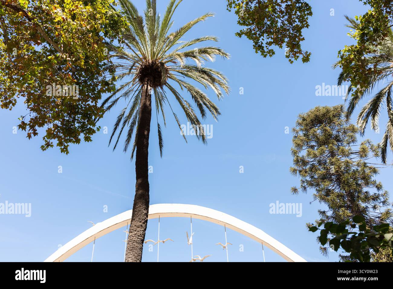 Malaga, Andalusia, Spagna. 4 settembre 2025. Palme vista dal basso con un arco decorativo e sculture di gabbiano nel parco cittadino. Foto Stock