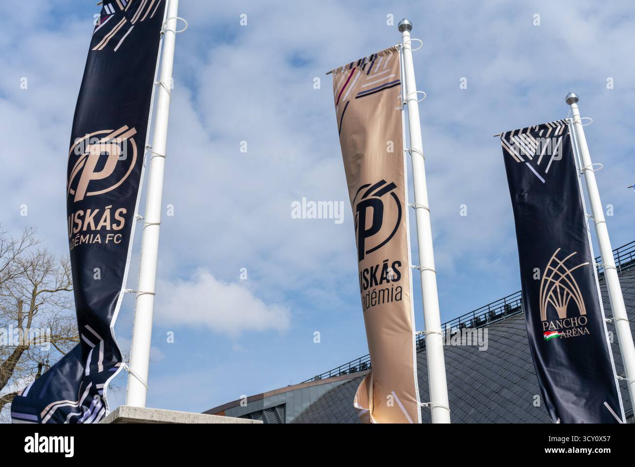 Bandiere di Puskás Akadémia FC e Pancho Aréna a Felcsút, simboli delle ambizioni calcistiche e dell’influenza politica dell’Ungheria. Foto Stock