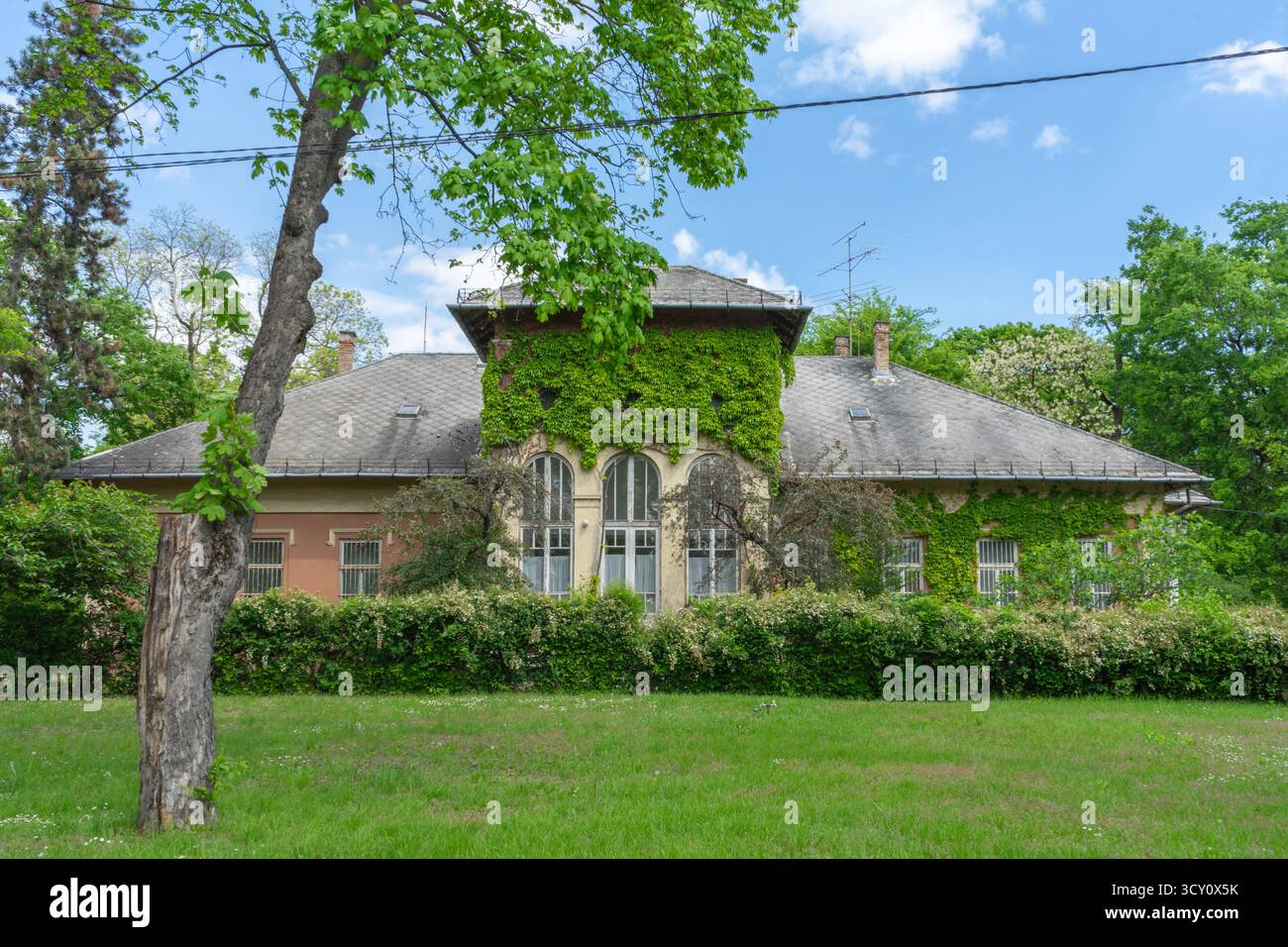 Edificio storico coperto di edera della Rákospalota Correctional and Special Children’s Home di Budapest, Ungheria. Foto Stock