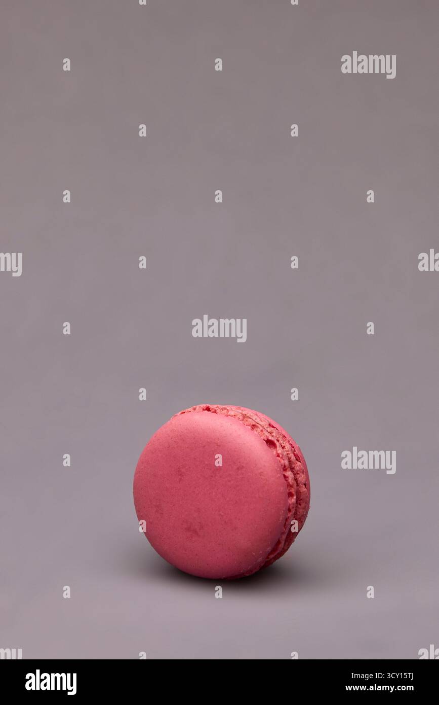 Immagine verticale di un dessert di macaron rosa in posizione verticale su un morbido sfondo grigio. Foto da studio minimalista e pulita con un'estetica moderna e spazio per copie. Foto Stock