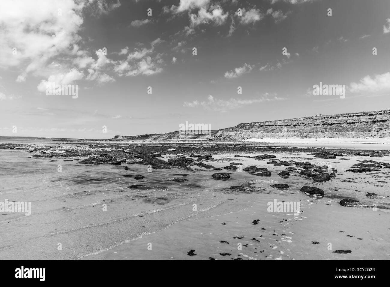Paesaggio costiero monocromatico a Cap Gris-Nez, Francia - scogliere bianche e nere e mare Foto Stock