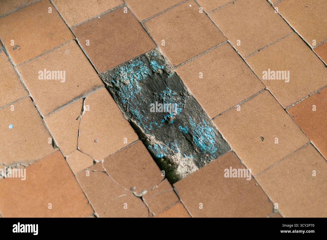 Una vista ravvicinata rivela le piastrelle rotte e incrinate di un pavimento trascurato. Le piastrelle sono in cattive condizioni, alcune mostrano macchie blu e mi Foto Stock