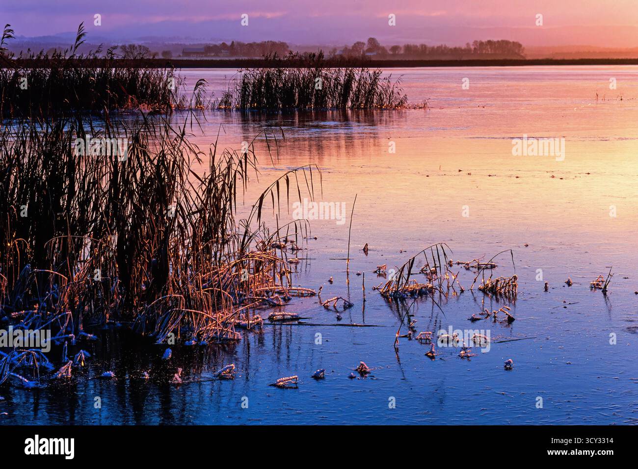 Tramonto su una riva ghiacciata con riflessi di colore sul ghiaccio Foto Stock
