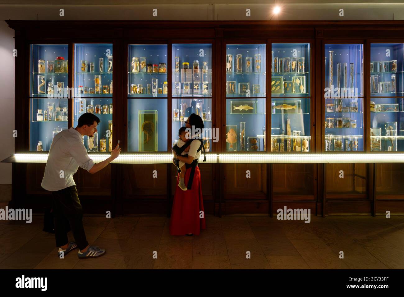 Uomo che scatta una foto di una donna che tiene un bambino davanti al banco di esposizione scientifica del Museo Nazionale della Scienza e di storia naturale di Lisbona Foto Stock