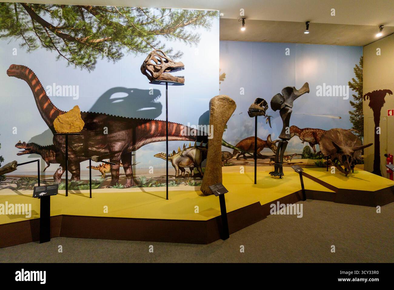 Mostra di dinosauri in un museo con grandi modelli scheletrici e murales preistorici che creano un'esperienza educativa coinvolgente Foto Stock