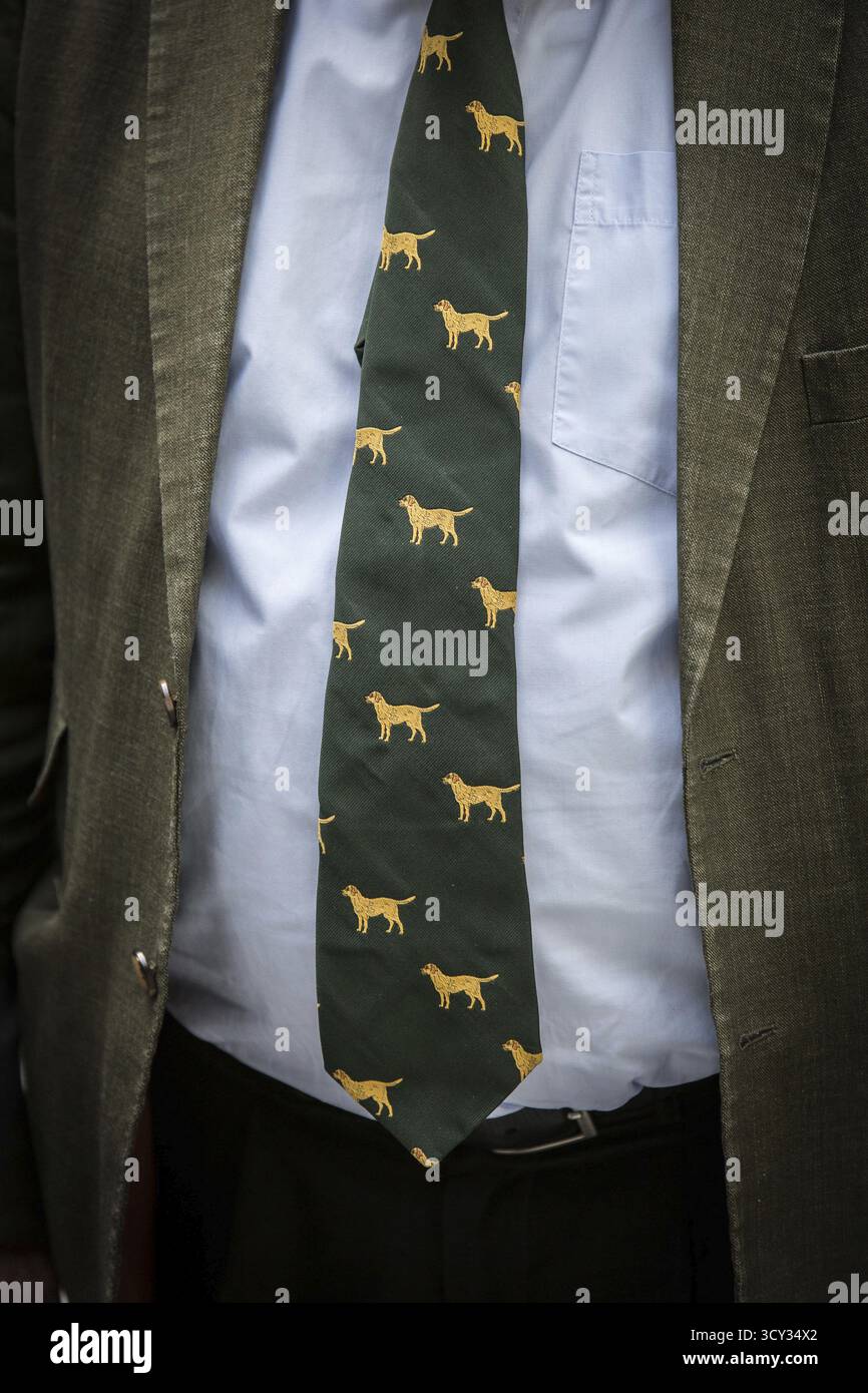 DEU Germania Germania Berlino conferenza stampa AFD sulla politica ambientale con Alexander Gauland e Alice Weidel Foto Stock