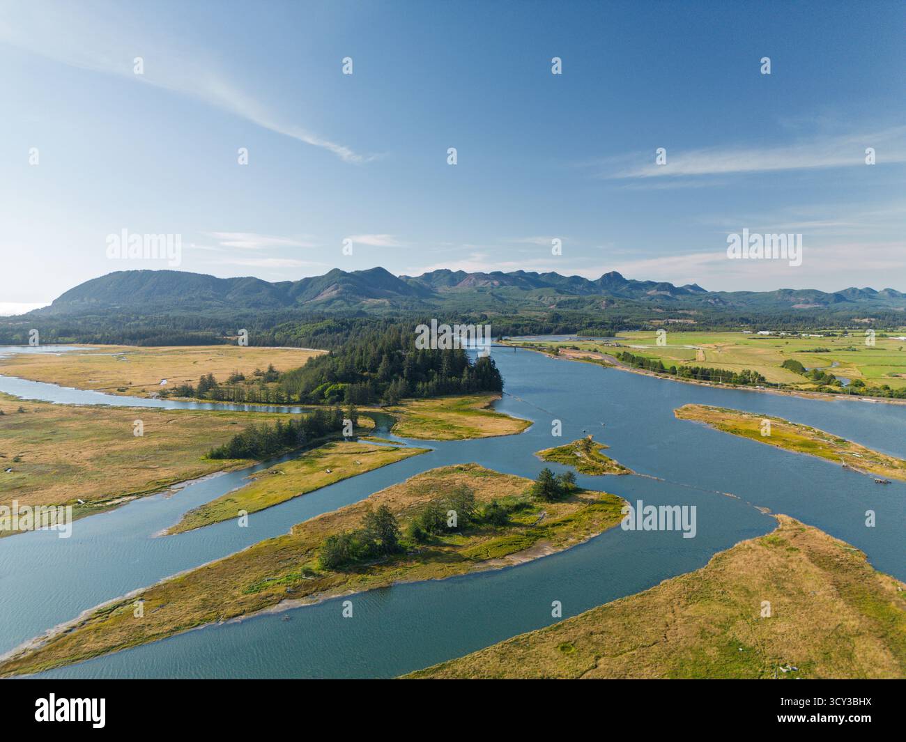 Paludi del fiume Nehalem nella contea di Tillamook con montagne sullo sfondo Foto Stock