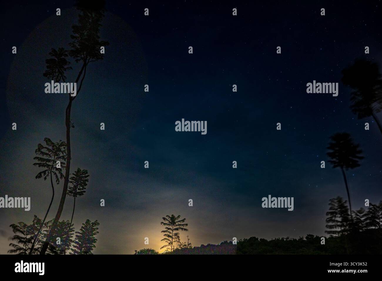 Fotografia notturna del cielo stellato senza inquinamento luminoso fotografata nel villaggio di Sekenani vicino a Masai Mara, Kenya Foto Stock