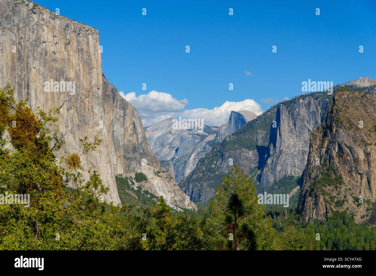 Gli iconici monoliti di granito di El Capitan e Half Dome si innalzano sopra la foresta della valle di Yosemite sotto un cielo limpido. Foto Stock