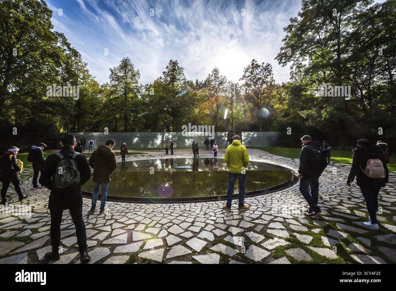 DEU Germania Germania Berlino il memoriale degli assassinati Sinti e rom durante l'era nazionalsocialista a Tiergarten Foto Stock