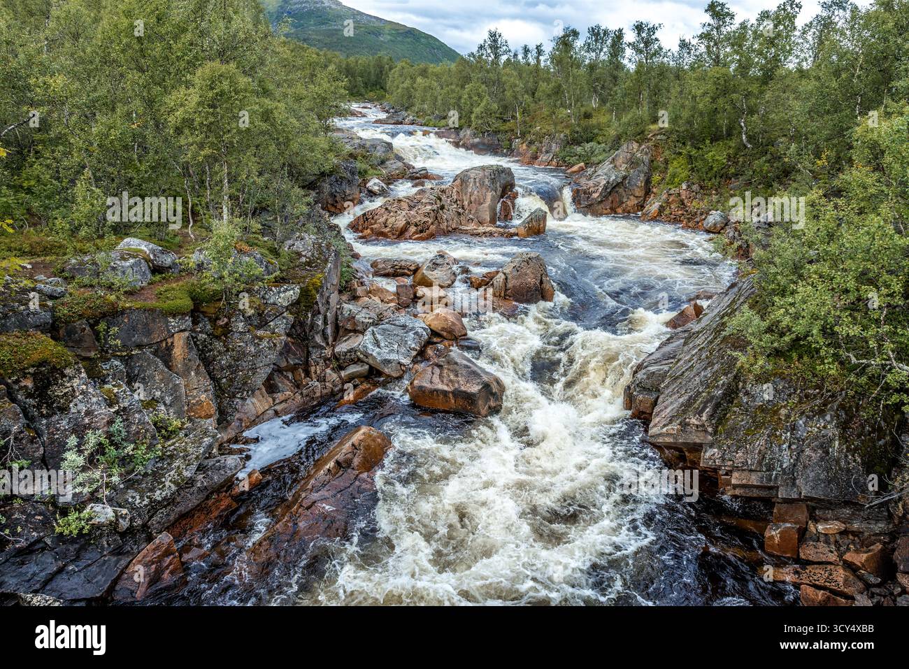 Le rapide di Storforsen sull'isola di Senja, Norvegia Foto Stock