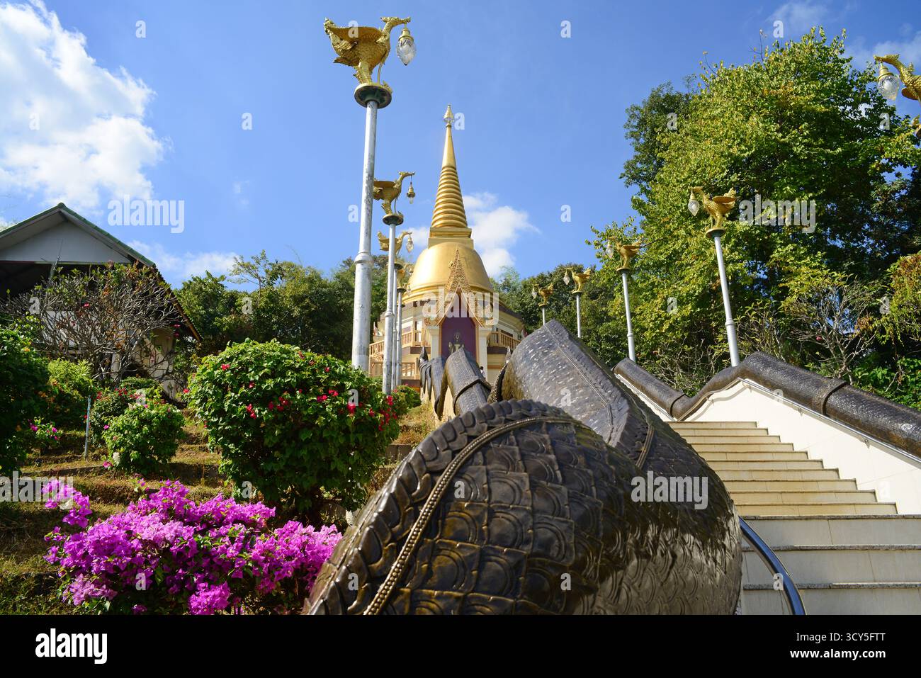 tempio wat pa phun khon nella regione di thani thailandia Foto Stock