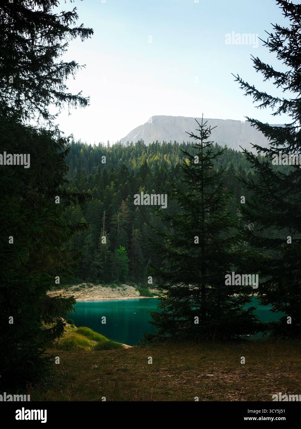 Vista panoramica di un lago di montagna turchese circondato da una fitta pineta, con una cima rocciosa sullo sfondo sotto un cielo limpido Foto Stock