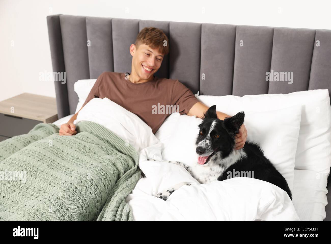 Hotel in cui sono ammessi gli animali domestici. L'uomo e il suo carino cane a letto al chiuso Foto Stock