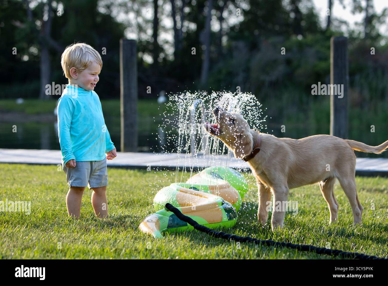 Un bambino felice che guarda il suo cane giocare in un irrigatore Foto Stock