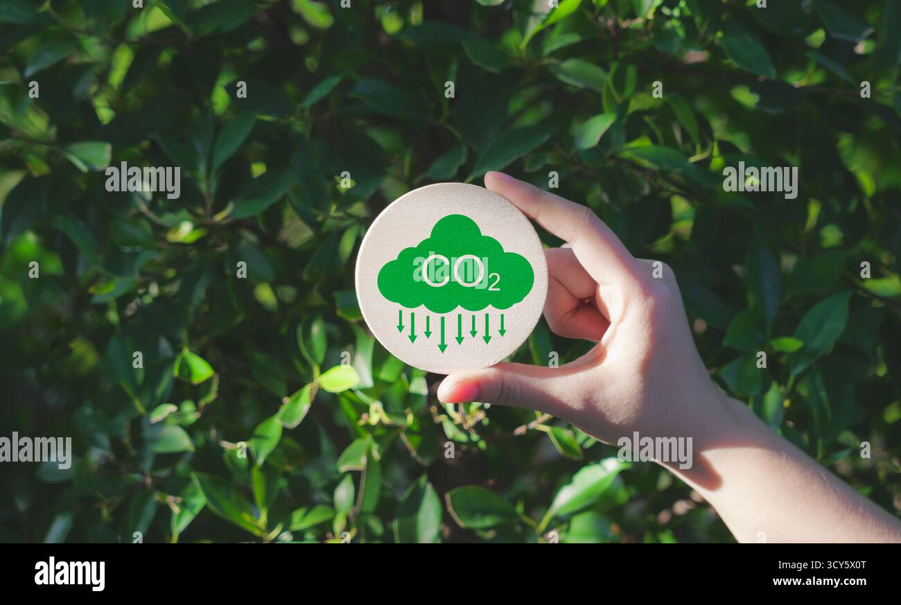 Riduzione delle emissioni di CO2. Una mano tiene in mano un simbolo delle emissioni di CO2 verdi, che rappresenta la consapevolezza dell'impronta di carbonio, lo zero netto e la neutralità del carbonio. Foto Stock