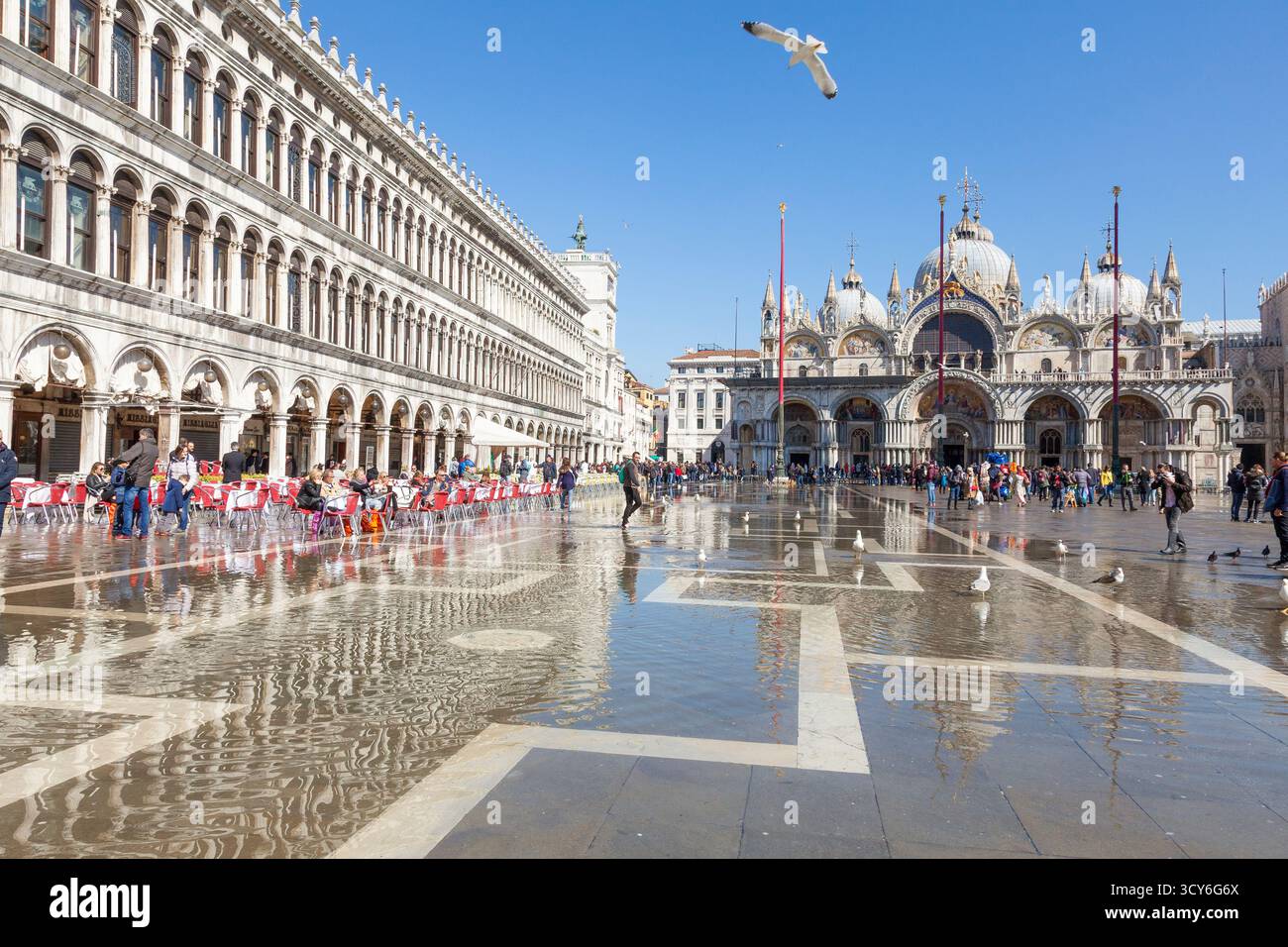 Acqua alta ondata di turisti in Piazza San Marco e vista sulla Basilica di San Marco, Venezia, Veneto, Italia. Il riscaldamento globale, il cambiamento climatico Foto Stock