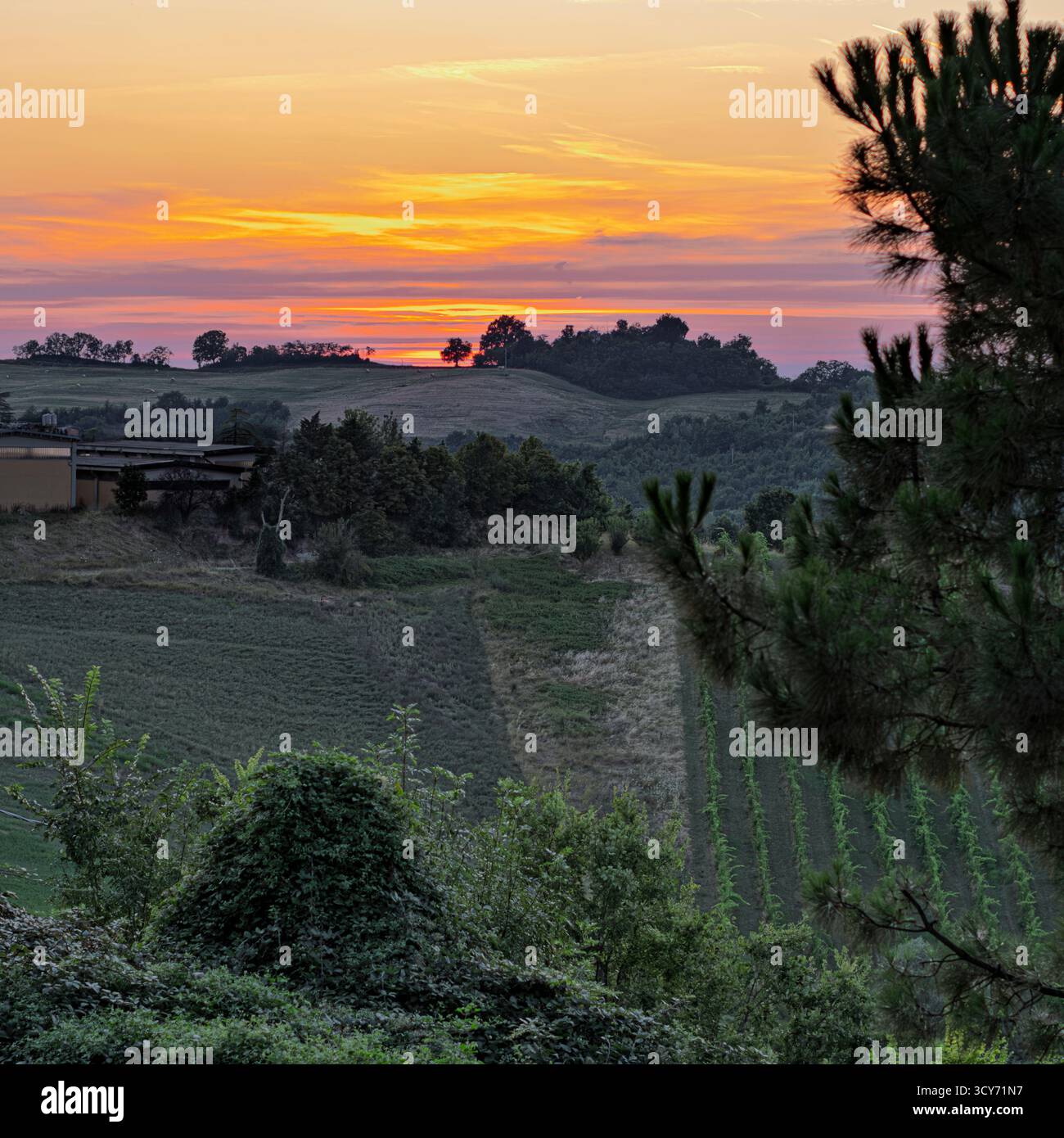 Un vivido tramonto sulle valli dove viene prodotto il vino Pignoletto. Castello di Seravalle, Valsamoggia, città metropolitana di Bologna, Emilia-Romagna, IT Foto Stock