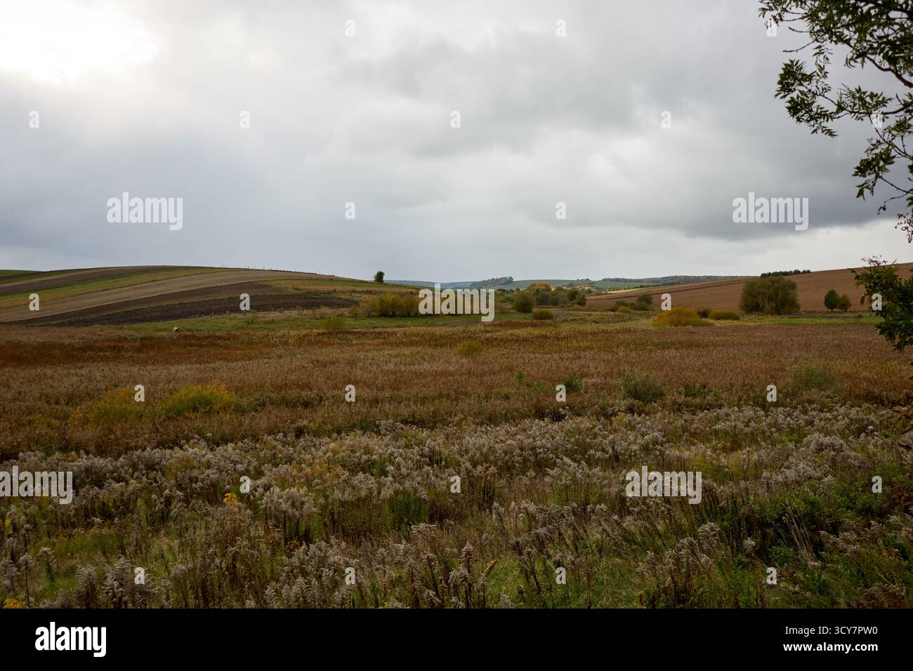 Paesaggio autunnale con campi dorati e un cielo spettacolare in campagna, una vista serena e pittoresca della bellezza e della tranquillità della natura Foto Stock