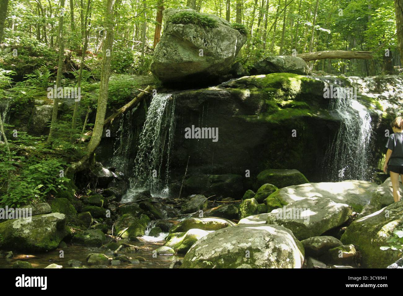 Cascata lungo Cornelius Creek nelle Blue Ridge Mountains, Virginia, USA Foto Stock
