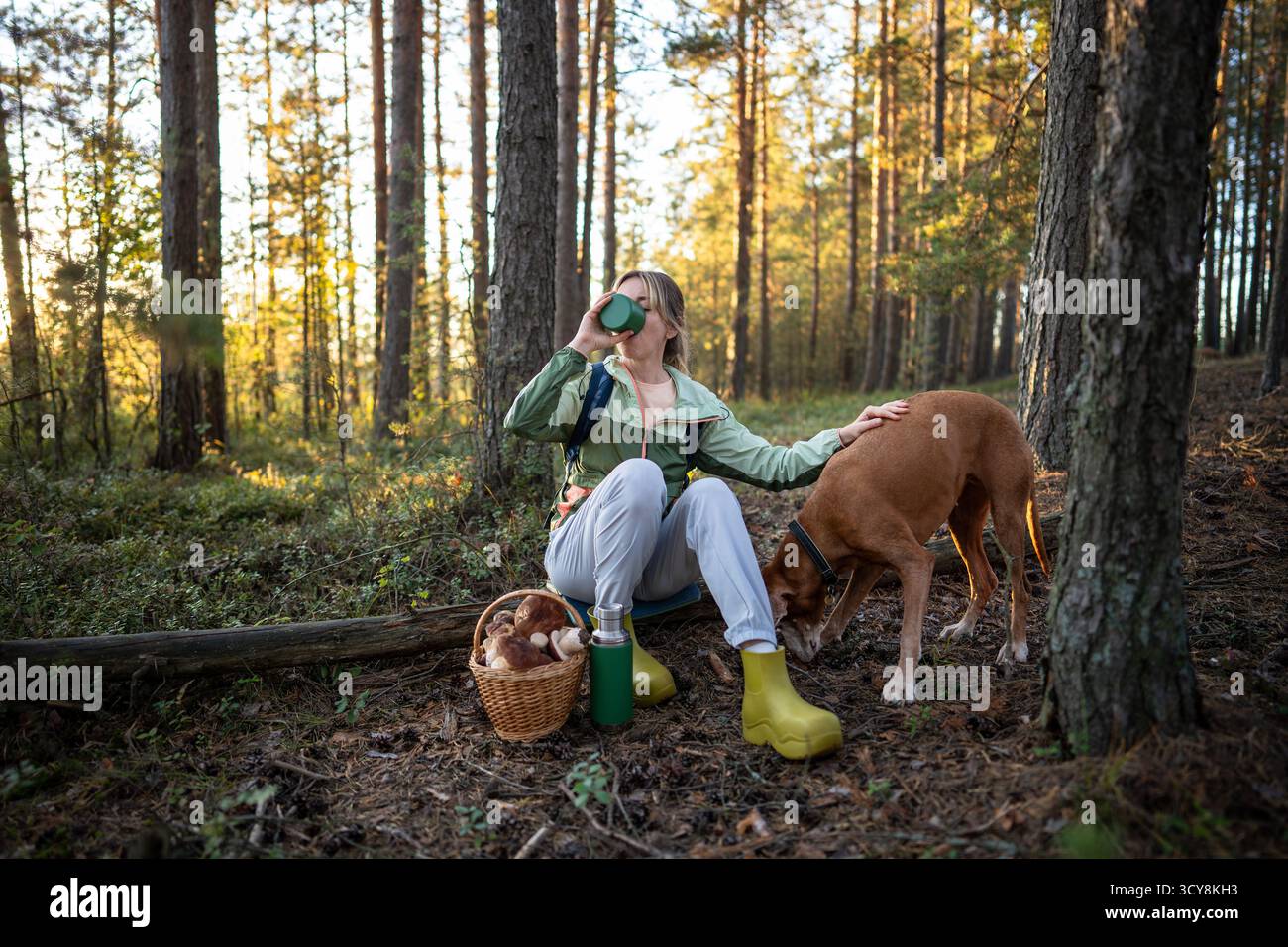 La donna finirà il tè e accarezzerà il cane dopo un'escursione nella foresta e un foraggio di funghi, facendo trekking da solo con animale domestico Foto Stock