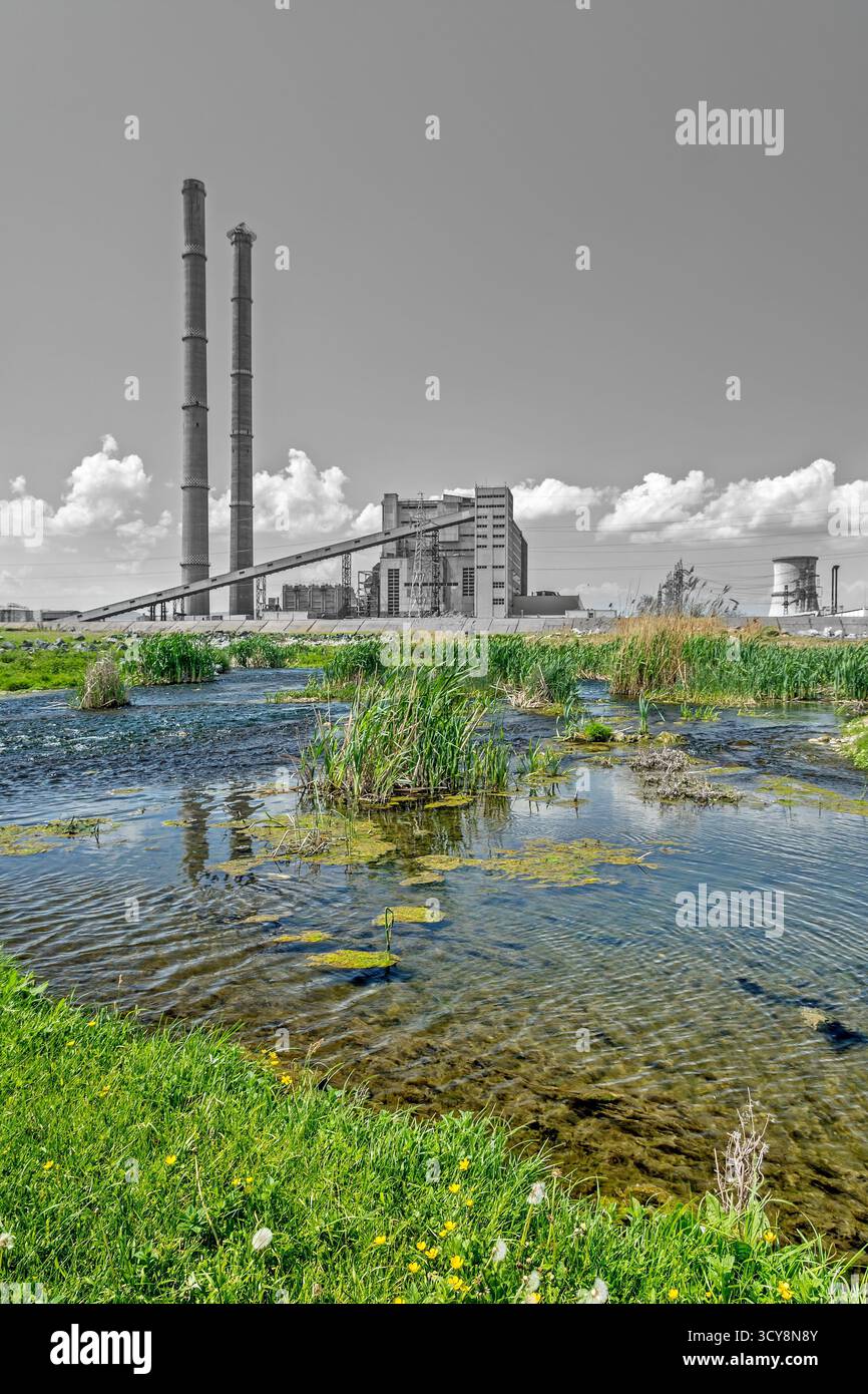 La zona umida rumena a colori contrasta lo sfondo industriale in scala di grigi. Metafora visiva della natura rispetto all'infrastruttura. Foto Stock