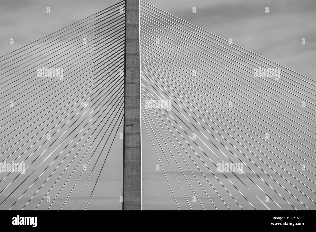 Dettaglio monocromatico astratto del Mersey Gateway Bridge che mostra la sua rete di cavi in acciaio Foto Stock