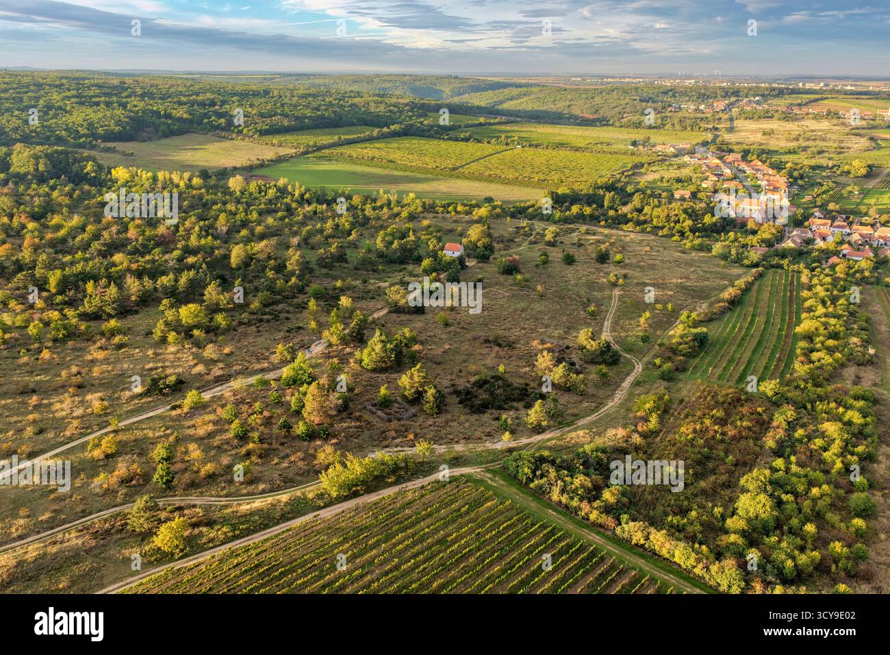Vista aerea autunnale della brughiera di Popice e del villaggio vinicolo di Popice nella regione di Znojmo, del Parco Nazionale di Podyjí, della Moravia meridionale, della Repubblica Ceca Foto Stock