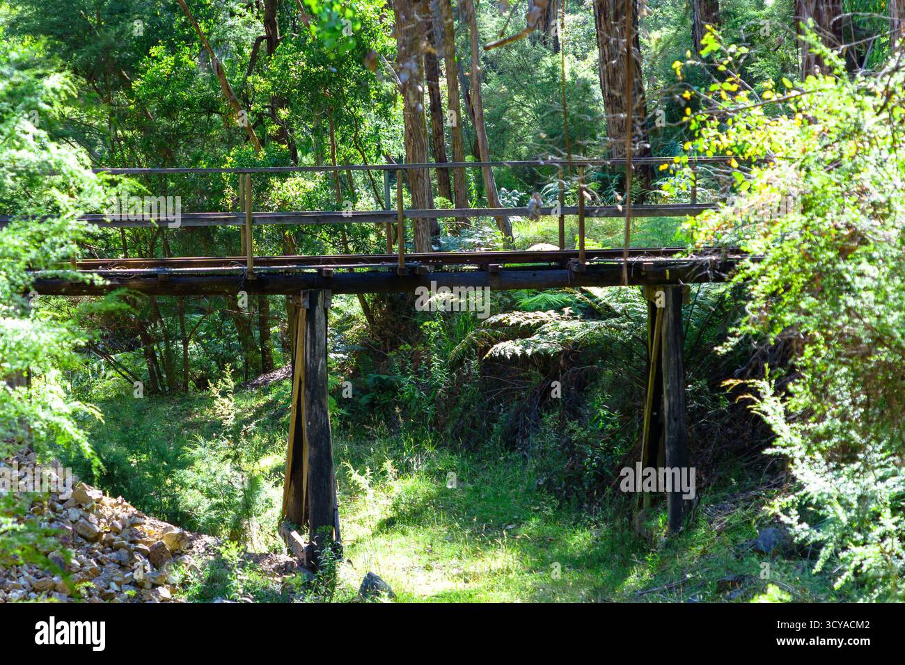 Un vecchio ponte in legno con binari ferroviari arrugginiti attraversa una vibrante foresta verde baciata dal sole, circondata da fitti alberi e felci. Foto Stock