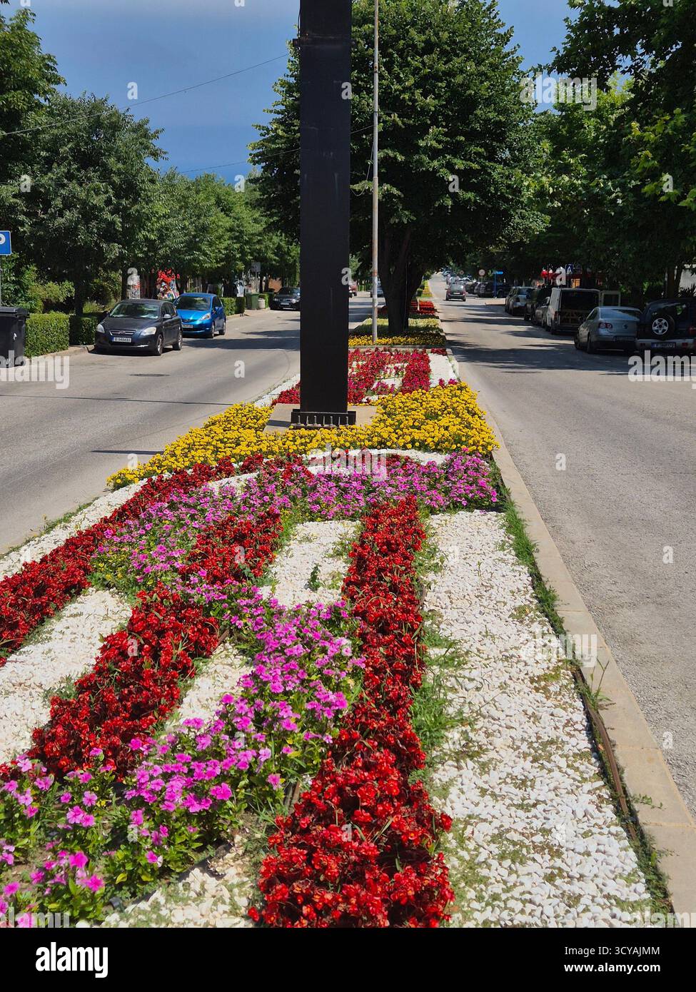 composizione floreale. elemento di design paesaggistico. aiuole di fiori sulla strada centrale della città - Immagine stock catturata con smartphone