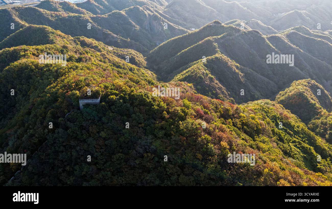 Pechino, la provincia cinese di Hebei. 18 ottobre 2025. Una foto aerea con un drone mostra lo scenario autunnale della grande Muraglia di Qingshanguan nella città di Shangying, nella contea di Qianxi, nella città di Tangshan, nella provincia di Hebei della Cina settentrionale, 18 ottobre 2025. Crediti: Liu Mancang/Xinhua/Alamy Live News Foto Stock