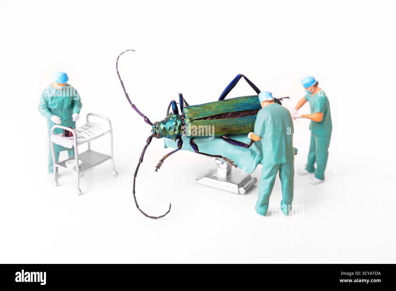 Vista ravvicinata di una scena di microchirurgia con chirurghi in miniatura che lavorano su un grande coleottero, evidenziando gli strumenti chirurgici e le tecniche di precisione. Foto Stock