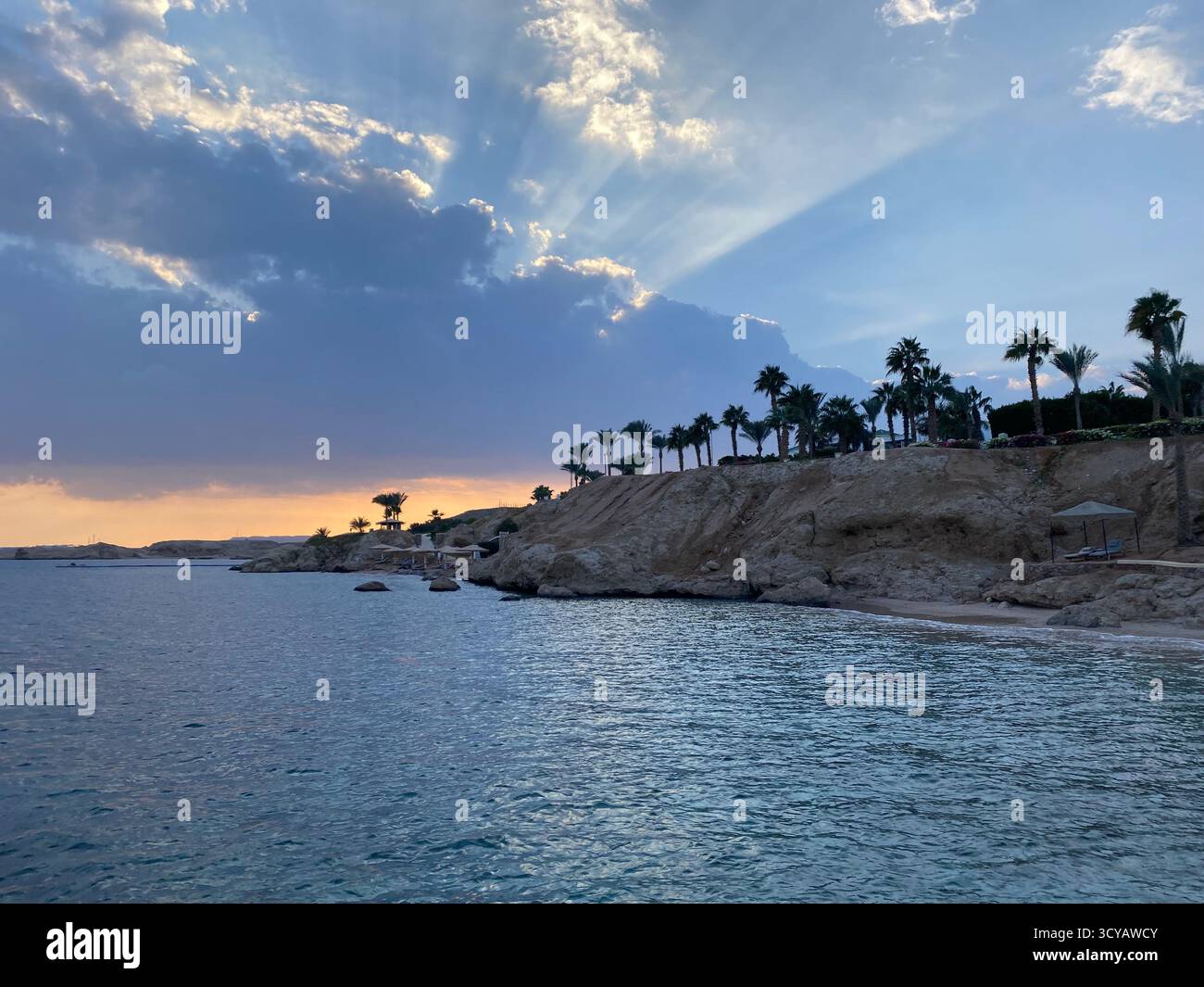 Tramonto sulla spiaggia con palme, i raggi del sole si infrangono tra le nuvole - Immagine stock catturata con smartphone